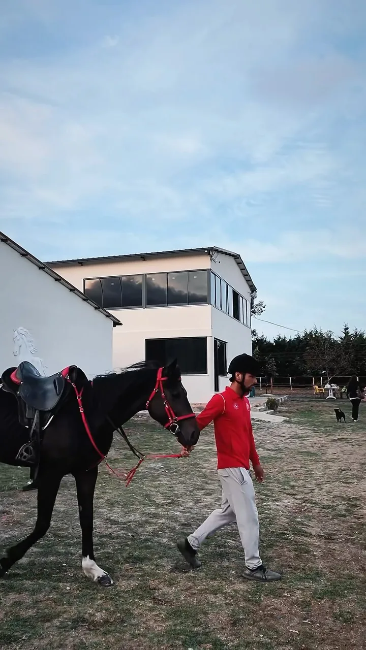 Han Atlı Spor Kulübü'nde bir atla yürüyen görevli